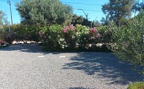 Adelino Guest House